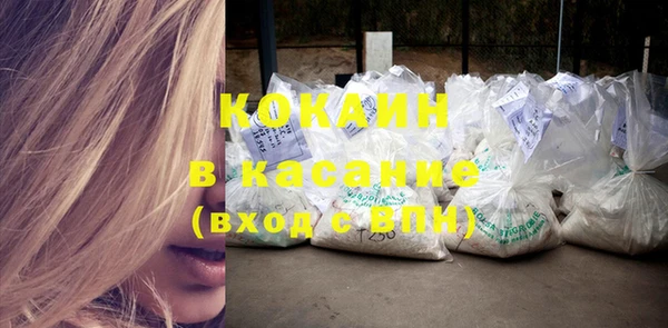 ГАЛЛЮЦИНОГЕННЫЕ ГРИБЫ Аркадак