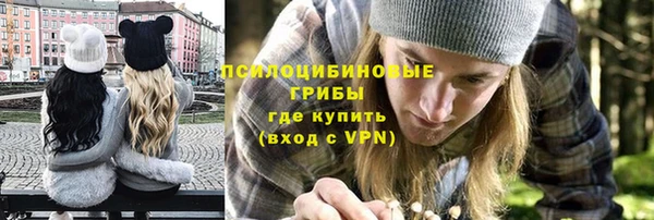 ГАЛЛЮЦИНОГЕННЫЕ ГРИБЫ Аркадак